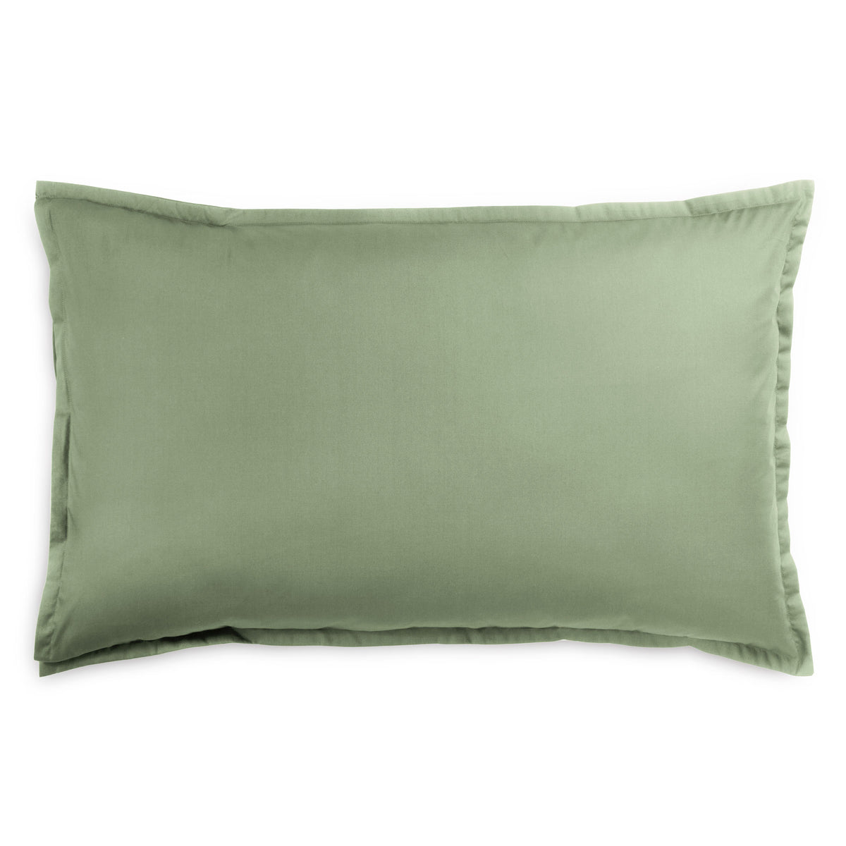 POPUP - Coppia di Federe Percalle 200TC Eterno Letto Moreali Tessile Casa 50 x 80 cm Verde