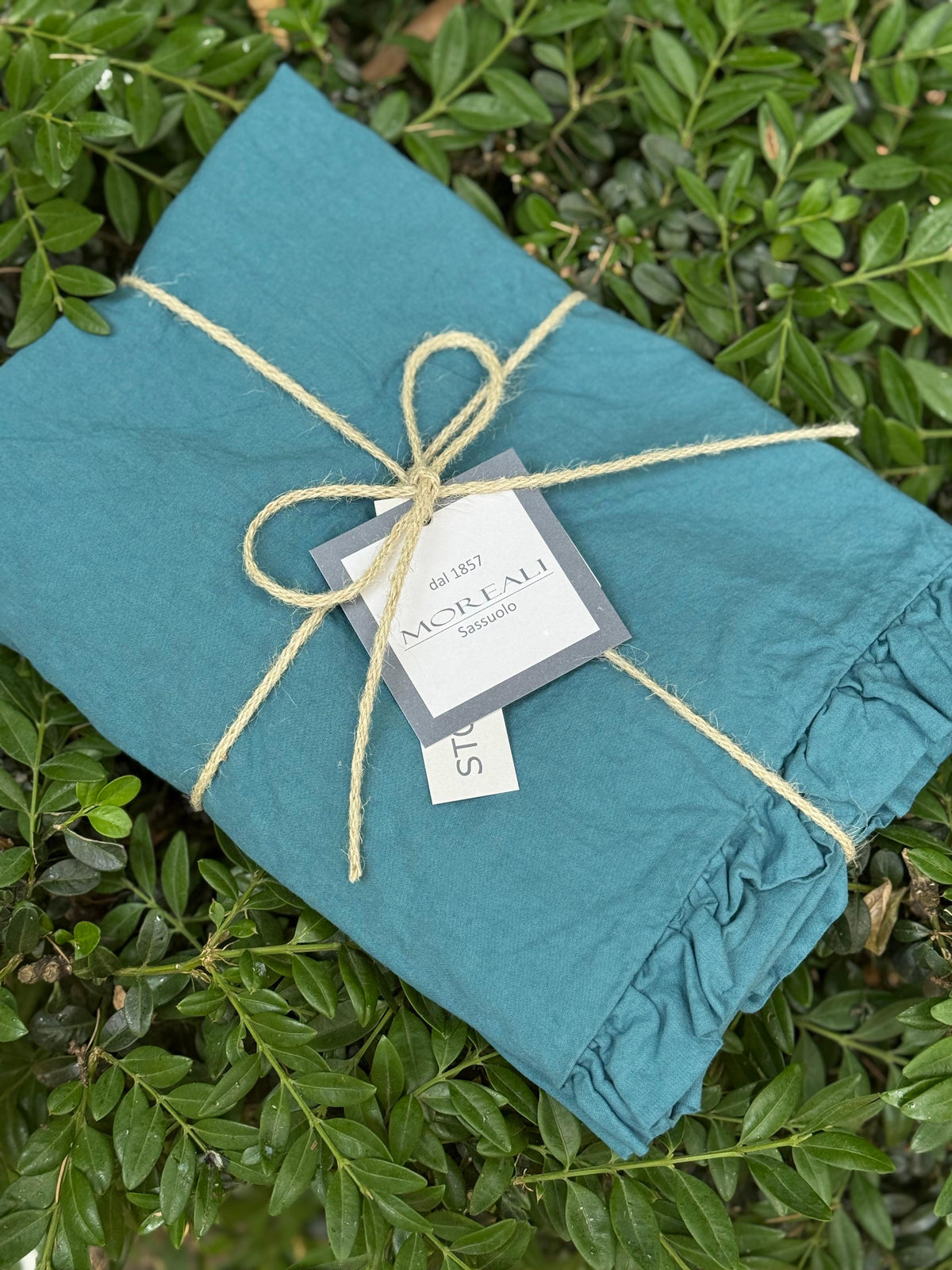 POPUP - Coppia Federe Cotone No-Stiro FRAPPINA Letto Moreali Tessile Casa 50 x 80 cm Ottanio