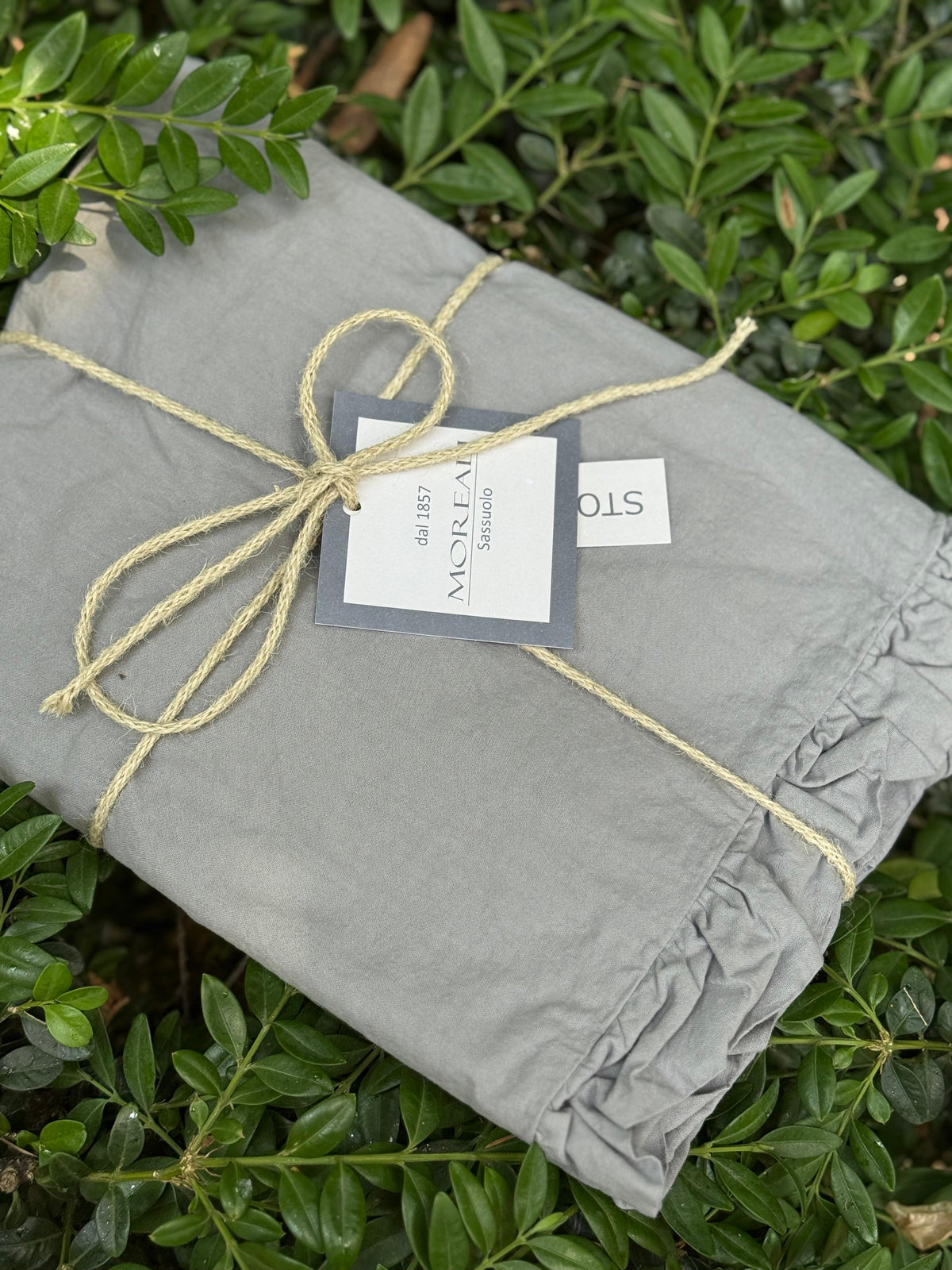 POPUP - Coppia Federe Cotone No-Stiro FRAPPINA Letto Moreali Tessile Casa 50 x 80 cm Grigio